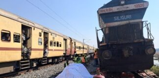 Ινδία: Σύγκρουση τρένου με κοπάδι από ελέφαντες – 7 ζώα νεκρά India 696x491