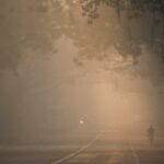 India neo delxi rypansi 696x516