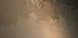 Η ρύπανση «πνίγει» το Νέο Δελχί: 200.000 περιστατικά σε δύο χρόνια India neo delxi rypansi 696x516