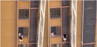 Κίνα: Δραματική διάσωση ερωμένης που κρεμόταν από τον 10ο όροφο (ΒΙΝΤΕΟ) Kina eromeni