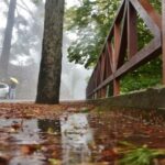 Κλειστός παραμένει δρόμος στο Εθνικό Δασικό Πάρκο Μαχαιρά λόγω επικίνδυνης κλίσης Maxairas