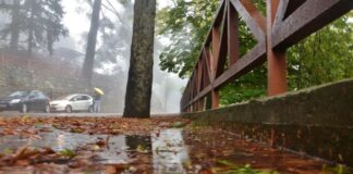 Κλειστός παραμένει δρόμος στο Εθνικό Δασικό Πάρκο Μαχαιρά λόγω επικίνδυνης κλίσης Maxairas