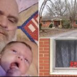 Διπλή τραγωδία στο Τενεσί: Παππούς και 3 μηνών εγγονή κατασπαράχθηκαν από επτά πίτμπουλ της οικογένειας Pitbul tenessi