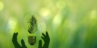 Η πράσινη μετάβαση της Ευρώπης γυρίζει μπούμερανγκ Prasini metavasi pixabay 768x495