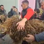 Με τρακτέρ στο κέντρο των Τρικάλων οι αγρότες – Πέταξαν σανό στο γραφείο του Σκρέκα Sanoskrekas.png