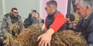 Με τρακτέρ στο κέντρο των Τρικάλων οι αγρότες – Πέταξαν σανό στο γραφείο του Σκρέκα Sanoskrekas.png