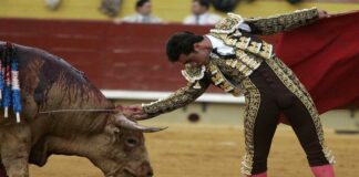 Μαγιόρκα: Έφτιαξε αρένα για ταυρομαχίες και ελικοδρόμιο στο κτήμα του – Πρόστιμο-μαμούθ Tauromaxies