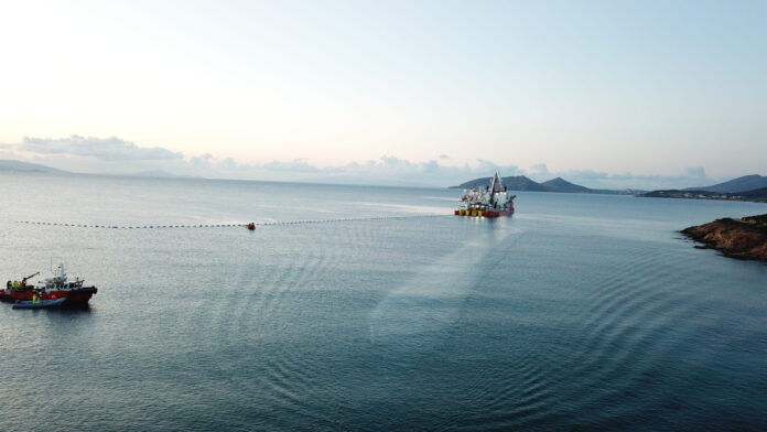 DCIM100MEDIADJI 0049.JPG