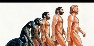 Εντοπίστηκε στο Μαρόκο ο τελευταίος κοινός πρόγονος ανθρώπων και Νεάντερταλ 1897701