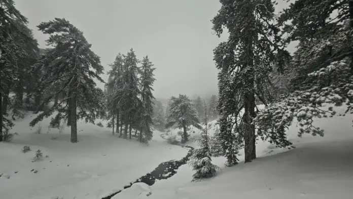 614146339 1796518344341171 6631996974785700961 n thumb