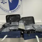 Αεροδρόμιο «Ελ. Βενιζέλος»: Σύλληψη 3 γυναικών που επιχείρησαν να εξάγουν στην Ιταλία 72 κιλά κάνναβης NARKOTIKA 696x522