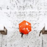 Screenshot 2026 01 12