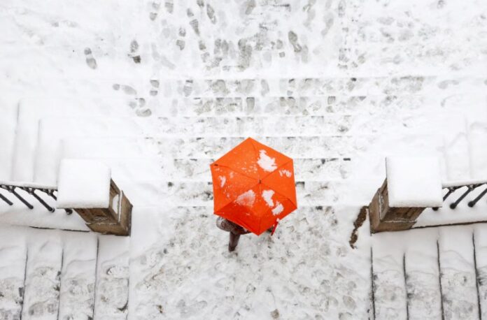 Screenshot 2026 01 12