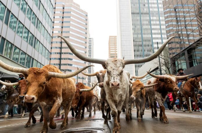 Screenshot 2026 01 12