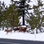 Screenshot 2026 01 22