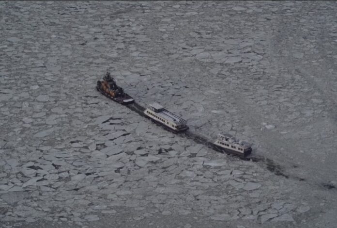 Screenshot 2026 01 29