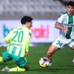 Cache 500x500 9658141 709001