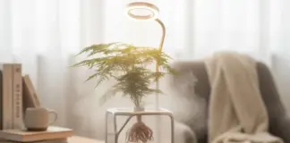 Η γλάστρα του μέλλοντος: Καλλιεργεί φυτά στον αέρα, χωρίς χώμα και νερό Glastra toy mellontos