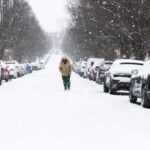 Ipa kakokairia 696x464