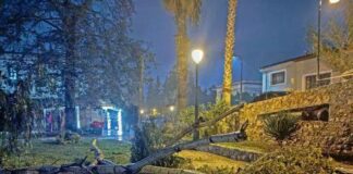 Οι ισχυροί άνεμοι προκάλεσαν προβλήματα – Επέμβαση Πυροσβεστικής σε 12 περιπτώσεις στη Λευκωσία Kakokairia dentra