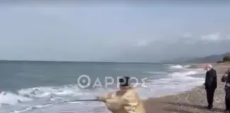 Ευρηματικός ιερέας στη Μεσσηνία: Έριξε τον Σταυρό στη θάλασσα με καλάμι ψαρέματος (ΒΙΝΤΕΟ) Papaskalami tharros.jpg