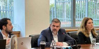 Πρόεδρος ΔΣΚ: Κρίσιμη η οργανική διασύνδεση ξένων επιχειρήσεων με τοπική κοινωνία Persianis