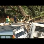 Κατολίσθηση στη Νέα Ζηλανδία παγιδεύει κατασκηνωτές, παιδιά μεταξύ των αγνοουμένων 368619