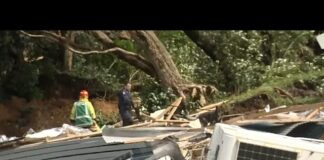 Κατολίσθηση στη Νέα Ζηλανδία παγιδεύει κατασκηνωτές, παιδιά μεταξύ των αγνοουμένων 368619