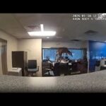 Βίντεο: ελάφι εισβάλλει από παράθυρο τράπεζας και ενεργοποιεί συναγερμό 368848