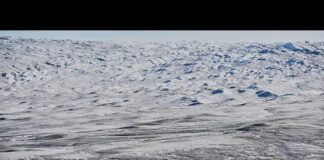 ΗΠΑ – Γροιλανδία: Ο Ντ. Τραμπ «εξετάζει και την στρατιωτική επιλογη» – Ρίχνει τους τόνους ο Ρούμπιο 365785