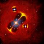 Sminosgalaxionarhaio