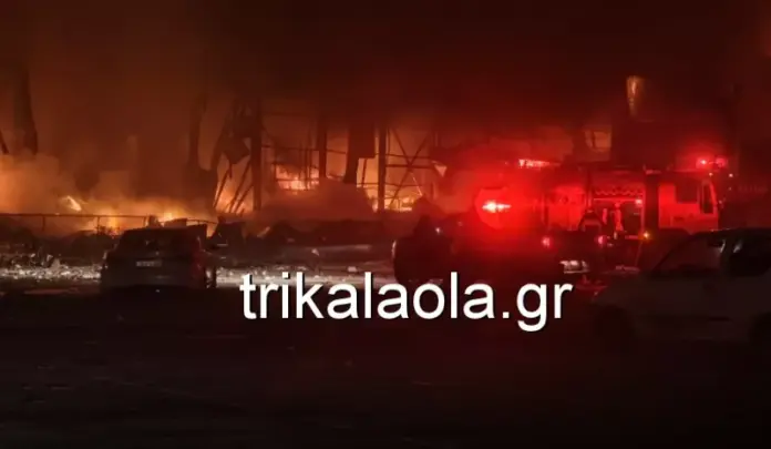 Violanda trikalaola2.png