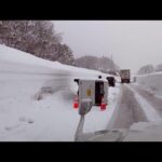 Θανατηφόρες χιονοπτώσεις στην Ιαπωνία: 30 νεκροί, θαμμένες απομονωμένες περιοχές 371091