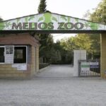 Melios Zoo Park: Αντιπαράθεση με βαριές κουβέντες on air μεταξύ του 60χρονου ιδιοκτήτη και του Πίπη (ΒΙΝΤΕΟ)