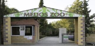 Melios Zoo Park: Αντιπαράθεση με βαριές κουβέντες on air μεταξύ του 60χρονου ιδιοκτήτη και του Πίπη (ΒΙΝΤΕΟ)