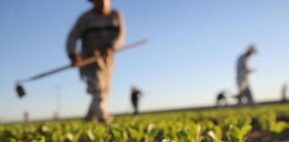 Σχέδια ύψους €1,5 εκ στους γεωργούς για το αυξημένο κόστος παραγωγής