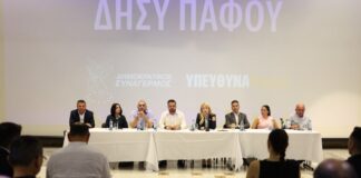 Αννίτα: Ο ΔΗΣΥ είναι εδώ για να διαμορφώνει τις εξελίξεις – Με ευθύνη, τόλμη και σχέδιο για την Κύπρο