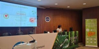 Ζτήματα που απασχολούν τους ασθενείς με ηπατικές παθήσεις εξέτασε ο “Προμηθέας”