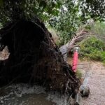 Έως 9 Οκτωβρίου οι Δηλώσεις Πληγέντος για ζημιές από τα ακραία καιρικά φαινόμενα