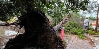 Έως 9 Οκτωβρίου οι Δηλώσεις Πληγέντος για ζημιές από τα ακραία καιρικά φαινόμενα