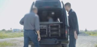 Ταλ Ντίλιαν: Αρνείται υποκλοπές από την Κύπρο και σχέσεις με κρατικές αρχές – Τι λέει για το μαύρο βαν