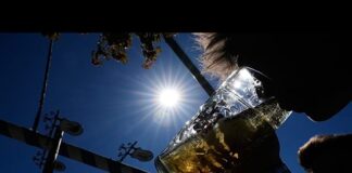 Καύσωνας και ξηρασία: Γιατί η μπίρα στο Οκτόμπερφεστ μπορεί σύντομα να είναι λιγότερη