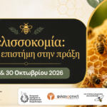 Νέος κύκλος δωρεάν εκπαίδευσης για μελισσοκόμους από το PLANBEE: Από την επιστήμη στην πράξη