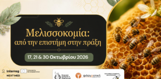 Νέος κύκλος δωρεάν εκπαίδευσης για μελισσοκόμους από το PLANBEE: Από την επιστήμη στην πράξη