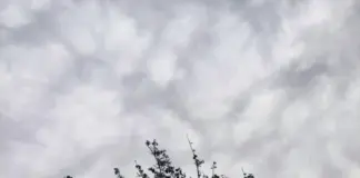 Ελλάδα: Πού αναμένονται καταιγίδες τις επόμενες ημέρες – Επικαιροποίηση του έκτακτου δελτίου της ΕΜΥ